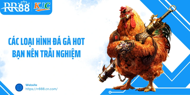 Các loại hình đá gà hot bạn nên trải nghiệm