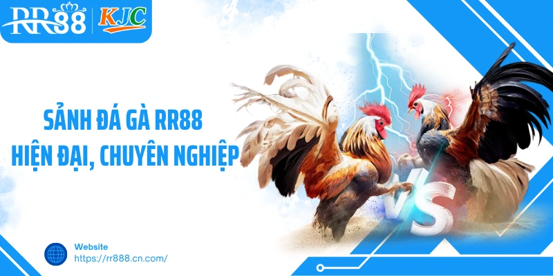 Sảnh đá gà RR88 hiện đại, chuyên nghiệp